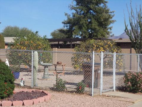 1185 S Main Dr, Apache Junction, AZ 85120 photo 18