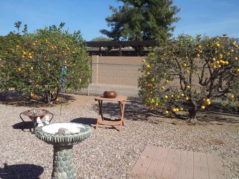 1185 S Main Dr, Apache Junction, AZ 85120 photo 17