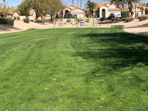 4646 E Robert E Lee St, Phoenix, AZ 85032 photo 43