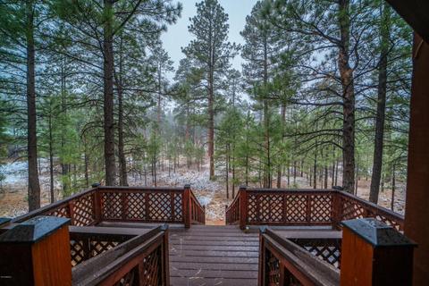 3076 Apache Dr, Happy Jack, AZ 86024 photo 43