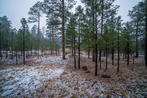 3076 Apache Dr, Happy Jack, AZ 86024 photo 46