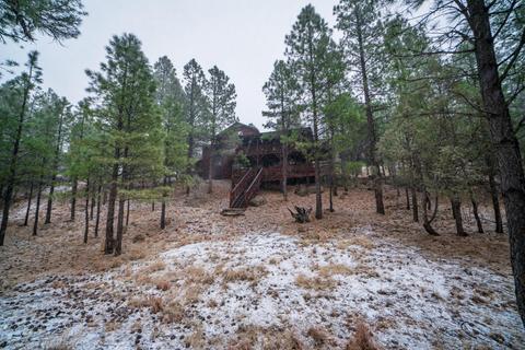 3076 Apache Dr, Happy Jack, AZ 86024 photo 48