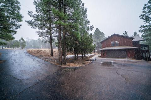 3076 Apache Dr, Happy Jack, AZ 86024 photo 50