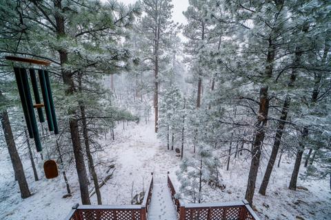 3076 Apache Dr, Happy Jack, AZ 86024 photo 45