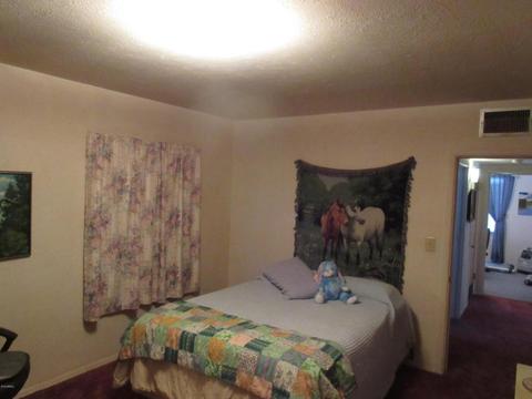 508 E Narramore Ave, Buckeye, AZ 85326 photo 5