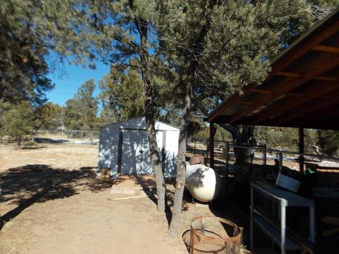3078 Chevelon Rd, Overgaard, AZ 85933 photo 20