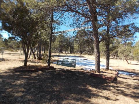 3078 Chevelon Rd, Overgaard, AZ 85933 photo 24