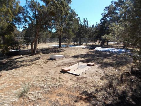 3078 Chevelon Rd, Overgaard, AZ 85933 photo 23
