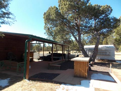 3078 Chevelon Rd, Overgaard, AZ 85933 photo 22