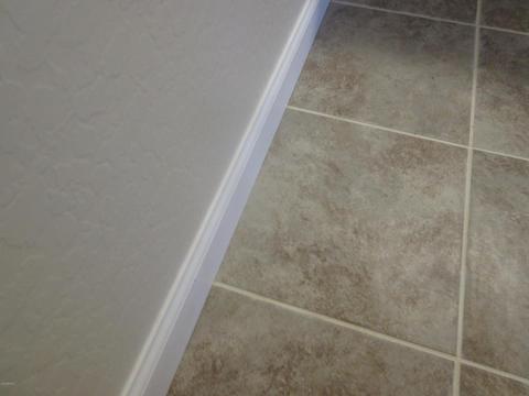 780 E Narramore Ave, Buckeye, AZ 85326 photo 30