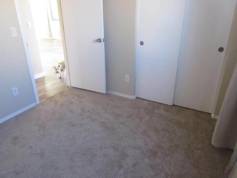 780 E Narramore Ave, Buckeye, AZ 85326 photo 45