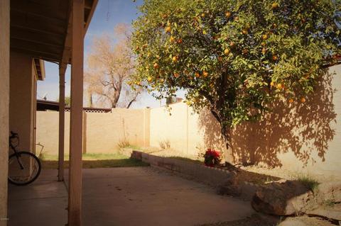 526 E Wickieup Ln, Phoenix, AZ 85024 photo 17