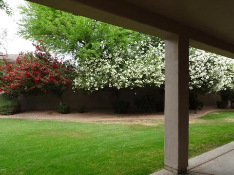 3102 E Brookwood Ct, Phoenix, AZ 85048 photo 63