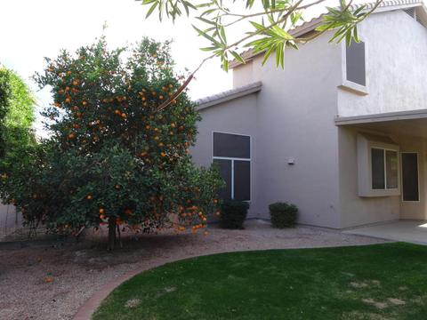 3102 E Brookwood Ct, Phoenix, AZ 85048 photo 56
