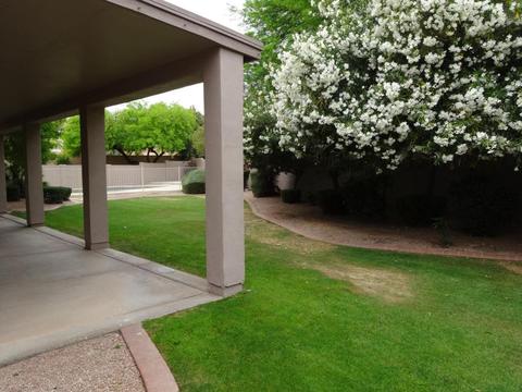 3102 E Brookwood Ct, Phoenix, AZ 85048 photo 60