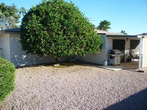 1130 S Roanoke --, Mesa, AZ 85206 photo 28