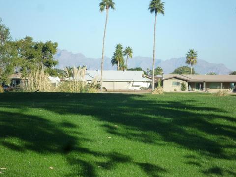 1130 S Roanoke --, Mesa, AZ 85206 photo 3