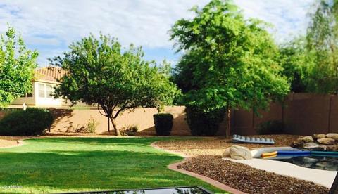 4212 E Rowel Rd, Phoenix, AZ 85050 photo 15