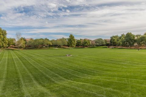 10916 E Solina Ave, Mesa, AZ 85212 photo 43