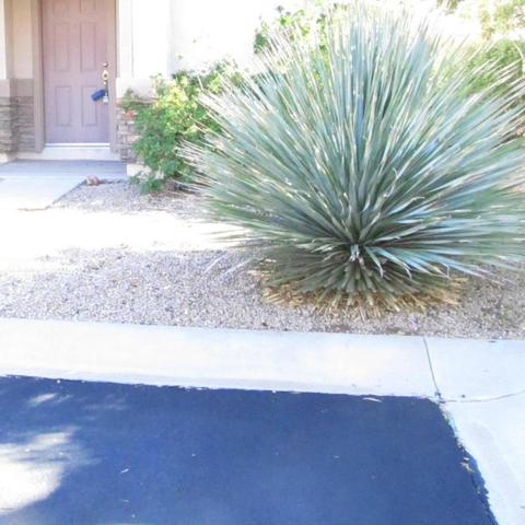 3345 S Bowman Rd, Apache Junction, AZ 85119 photo 2