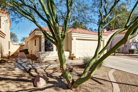 1446 E Laurel Ave, Gilbert, AZ 85234 photo 26