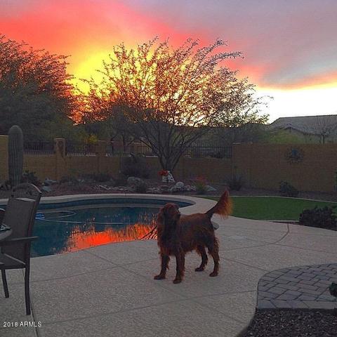 8456 E Jasmine Cir, Mesa, AZ 85207 photo 56