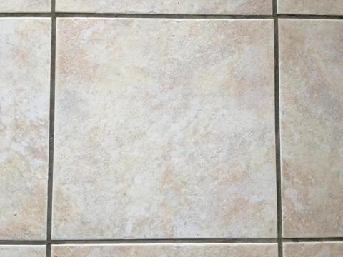 3118 E Wagoner Rd, Phoenix, AZ 85032 photo 9