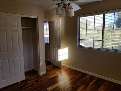 421 E Springfield Pl, Chandler, AZ 85286 photo 18