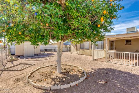 1109 S Delaware Dr, Apache Junction, AZ 85120 photo 29