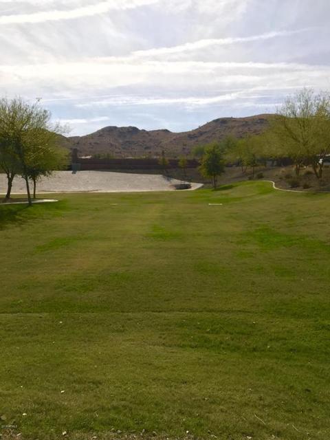 3928 E Branham Ln, Phoenix, AZ 85042 photo 22