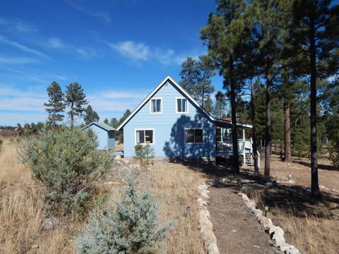 1860 Pine Cone Rd, Overgaard, AZ 85933 photo 5