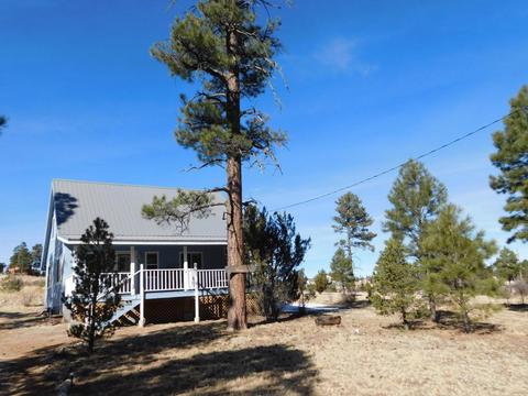 1860 Pine Cone Rd, Overgaard, AZ 85933 photo 31