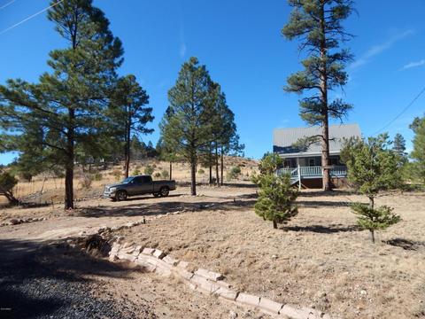 1860 Pine Cone Rd, Overgaard, AZ 85933 photo 3