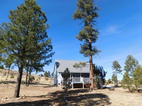 1860 Pine Cone Rd, Overgaard, AZ 85933 photo 1