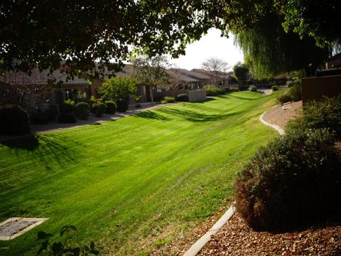 4202 E Broadway Rd #186, Mesa, AZ 85206 photo 18