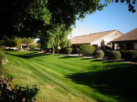 4202 E Broadway Rd #186, Mesa, AZ 85206 photo 17