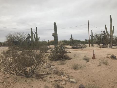 23830 E Cholla Rd, Florence, AZ 85132 photo 5