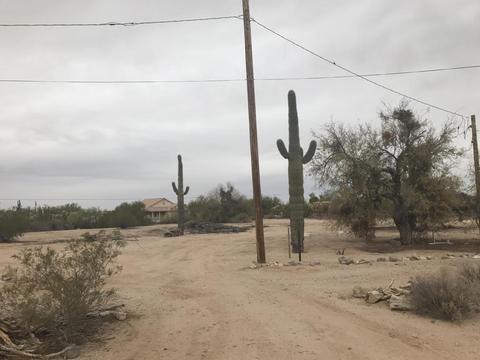 23830 E Cholla Rd, Florence, AZ 85132 photo 3