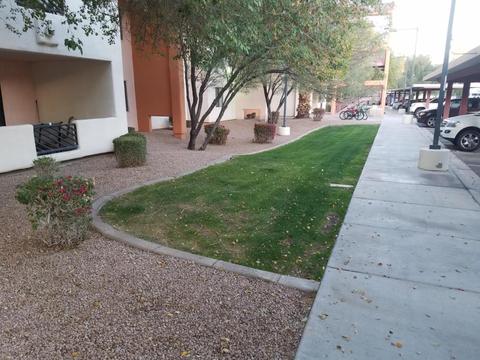 1005 E 8th St #3010, Tempe, AZ 85281 photo 52
