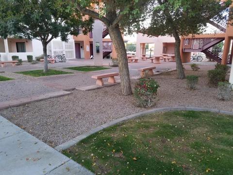 1005 E 8th St #3010, Tempe, AZ 85281 photo 50
