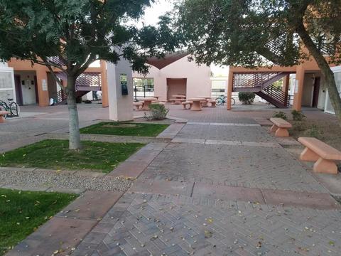 1005 E 8th St #3010, Tempe, AZ 85281 photo 51