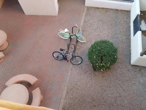 1005 E 8th St #3010, Tempe, AZ 85281 photo 49