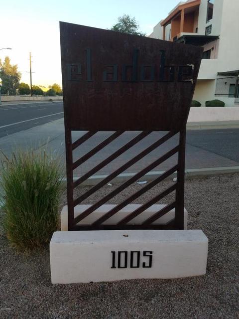 1005 E 8th St #3010, Tempe, AZ 85281 photo 59
