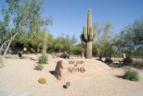3983 E Scout Pass, Phoenix, AZ 85050 photo 41