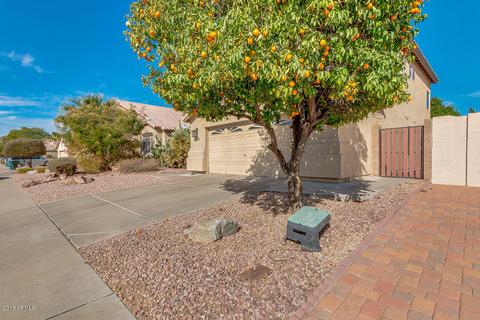 2556 E Taro Ln, Phoenix, AZ 85050 photo 38