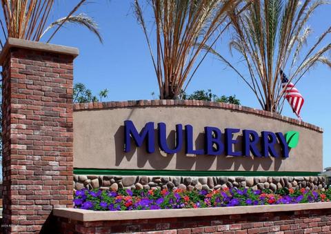 10442 E Monterey Ave, Mesa, AZ 85209 photo 46
