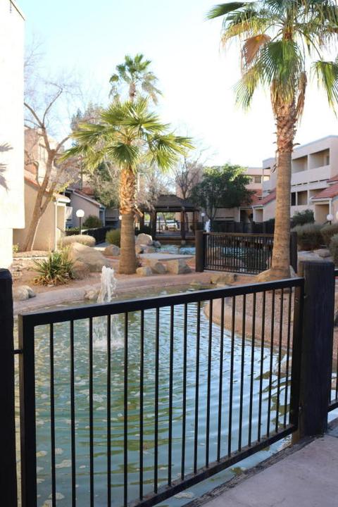 1645 W Baseline Rd #2003, Mesa, AZ 85202 photo 2