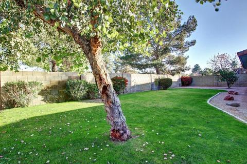 626 E Century Ave, Gilbert, AZ 85296 photo 34