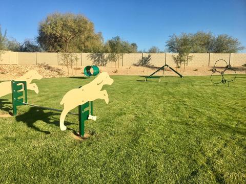 2928 E Hidalgo Ave, Phoenix, AZ 85040 photo 15