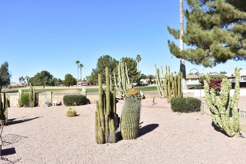 8214 Ebola Ave, Mesa, AZ 85208 photo 19